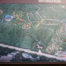 맹종죽테마공원 이미지