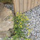 스테이유담 이미지