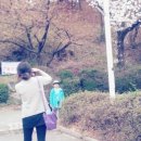 롯데리아 충남대 이미지