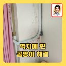 강동-천호-379 | 벽지에핀곰팡이깔끔하게제거