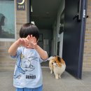 월하담 1 | 가평 신축 키즈 풀빌라 펜션 독채 월하담 온수풀