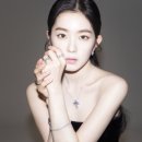 다미아니(DAMIANI), 아이린 브랜드 뮤즈로 선정 이미지