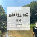 향교 | 서울 근교 계곡 추천｜아이들과 즐기는 안전한 물놀이! 과천향교 계곡 후기