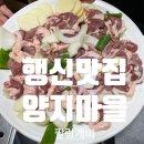 양지마을 | 행신맛집 푸짐한 오리고기 한상과 단체 모임 하기 좋은 양지마을 내돈내산 후기