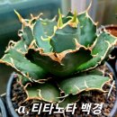 백경 - 순천시 | 백경