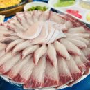 깃의신화(기다림) | [안양 대방어 맛집] 줄 서서 먹는 이유가 있다! 겨울 제철 신화수산 내돈내산 찐후기 (노포 감성 미쳤음🔥)