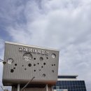 울산 아이랑 가볼만한 곳 장생포 고래생태체험관 솔직 후기🐬 가족 나들이 추천 명소