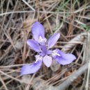 가마봉민박 이미지