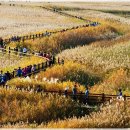 배나무민박 이미지