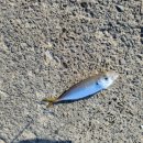 문중방파제 이미지