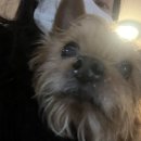 역전게임장 이미지