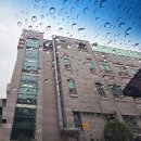 미술 심리를 통한 힐링 아트 | 간병 스트레스 회복 방법, 어르신 힐링미술 프로그램 진행 후기ㅣ유앤아트 심리상담소