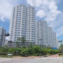 도래울 약국 이미지