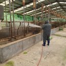 장흥축산 이미지