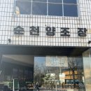 역전길 | [순천양조장]조곡동 수제버거 맛집 순천역 근처 맛집 내돈내산 솔직후기