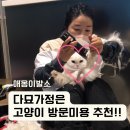 애옹이발소 이미지