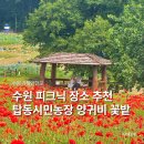 낭만농장 | 경기도 수원 가볼만한곳 피크닉 장소 나들이 탑동시민농장에서 즐기는 초여름 낭만