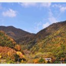 환산로 Daum카페