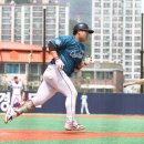 트라이파주