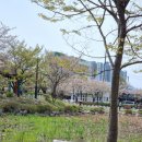 연꽃어린이집 이미지