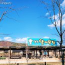 경기도 양평군 용문초등학교 이미지