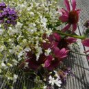 향기로운주유소 이미지