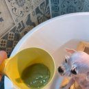 그루머공간 이미지