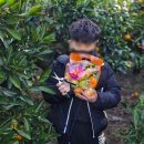 대절농장 | 제주 택시관광으로 감귤체험 ! 제주도 기사님 대절 가족여행 후기