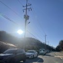 군남 은행나무 | [경기 연천] 사나래글램핑파크, 가을 끝자락 연천 글램핑 다녀온 후기