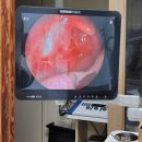 김정배이비인후과의원 이미지