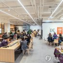 오피스119