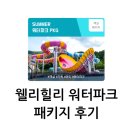 웰리힐리 패키지 후기(플레이 스토리)