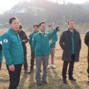 매화시장 이미지