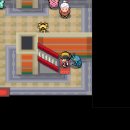 무지개체육관 이미지