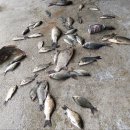 대박낚시터 이미지