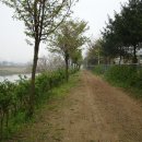 동안교 앞 이미지