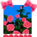 다현요양센터 이미지