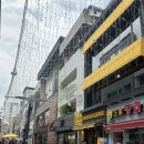 카페 봄 | [춘천 카페] 춘천디저트카페_봄을담아 후기