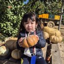 비룡농장 이미지