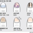 희다-반월