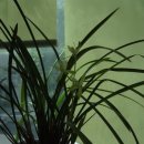 경희피레토한의원 이미지