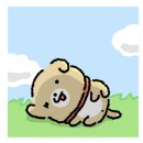 호식이짬뽕 이미지