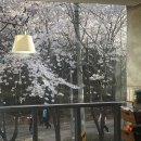 커피(coffee)란 이미지