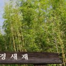 꿈꾸는새재 이미지