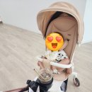 에이블스토리 | 베이비스토리 성남분당점에서 에이블 스핀플러스 유모차 내돈내산 후기