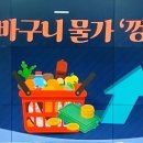 태풍야채청과