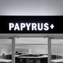 파피루스플러스(Papyrus+) 이미지