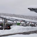 보소태양광 이미지