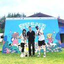 산솔면-19(수라리재 정상) | 강원도 애견동반 하이원 리조트 댕댕트레킹 코스 안내