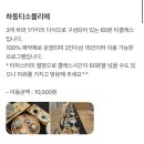 더클래스룸 | 만 원에 듣는 티 클래스? 🍵 하동 티소믈리에 프로그램 후기 (ft. 하동 여행지 추천, 티카페 하동)